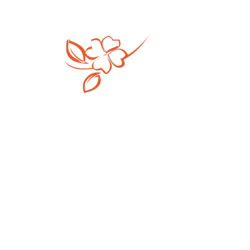 Beauty Beyond Skin